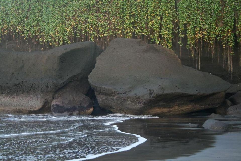 Istana Balian - Boutique Hotel Resort Selemadeg  Exterior foto